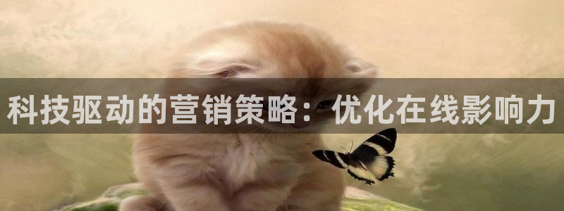 金年会 金字招牌诚信至上在线