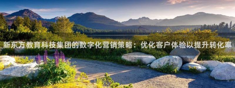 金年会官方入口首页