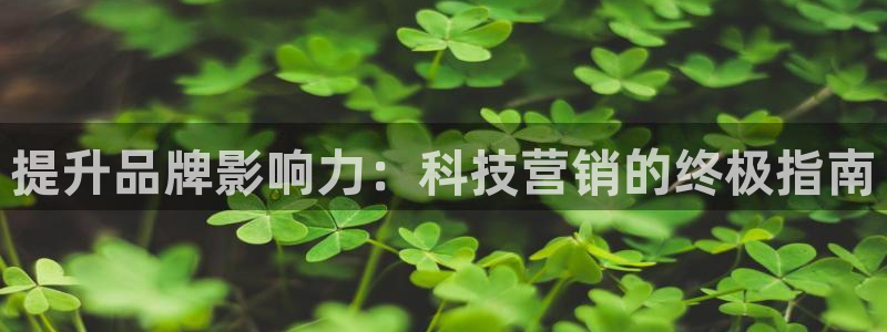 金年会官方网站入口登录