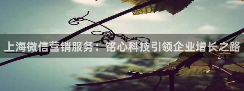 金年会体育官方