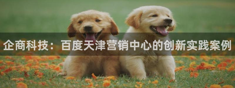 金年会体育app网页版入口