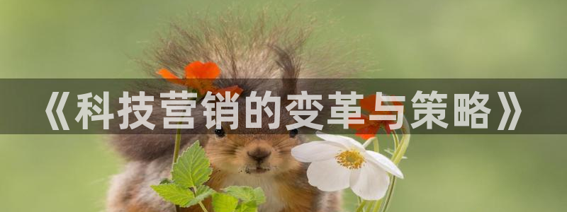 金年会体育app平台怎么样可靠吗