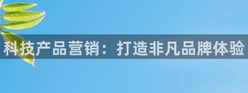 金年会体育在线