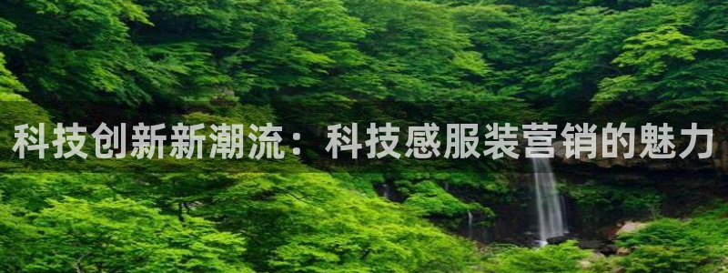 金年会app官方网站是什么