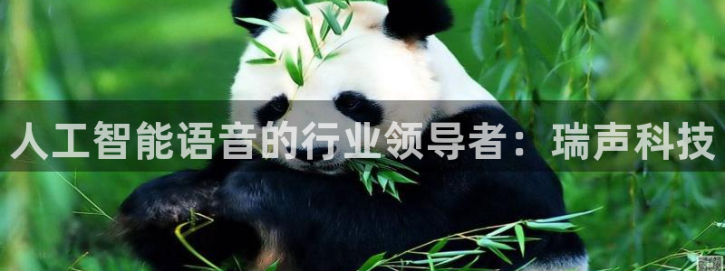 金年会网址导航在线播放