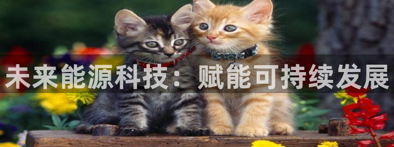 金年会体育网址是多少