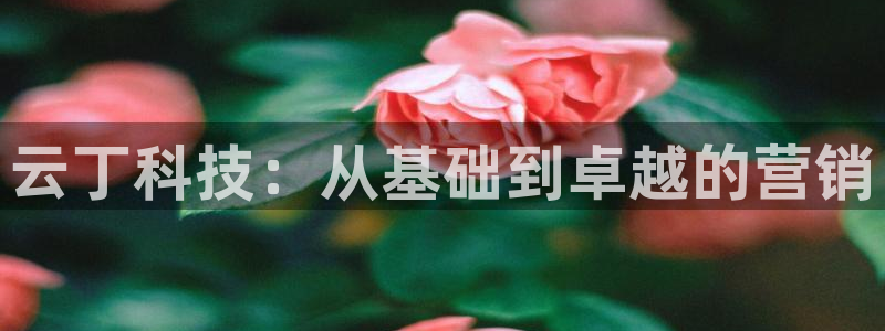 金年会网址导航下载
