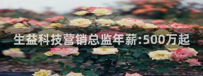 金年会官方入口登录网站