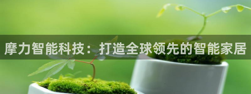 金年会网站怎么样