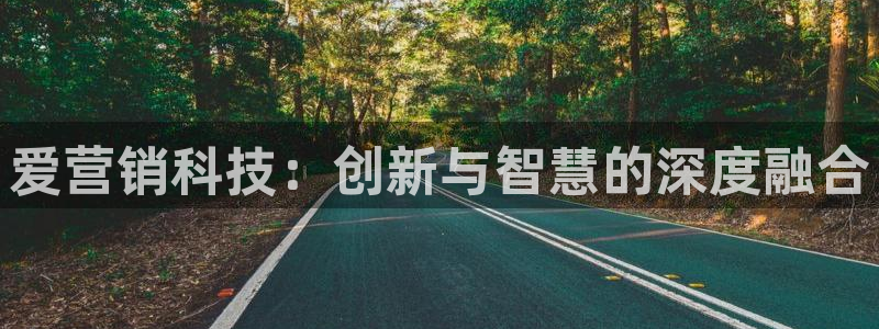 金年会电子