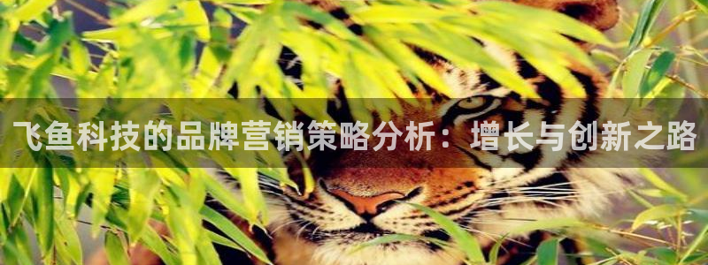 金年会体育app官网86