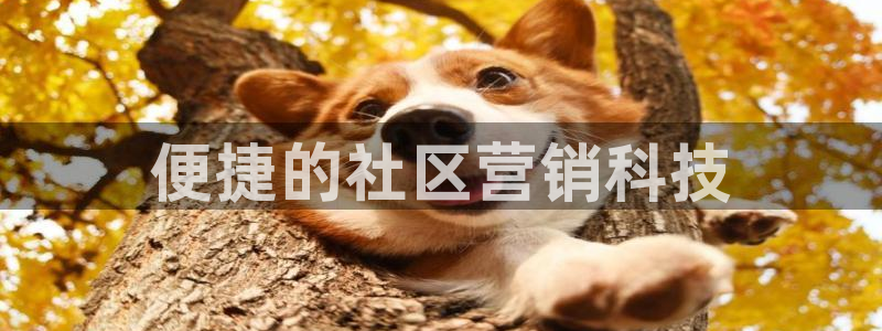 金年会体育全站