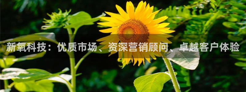金年会官方网站首页入口