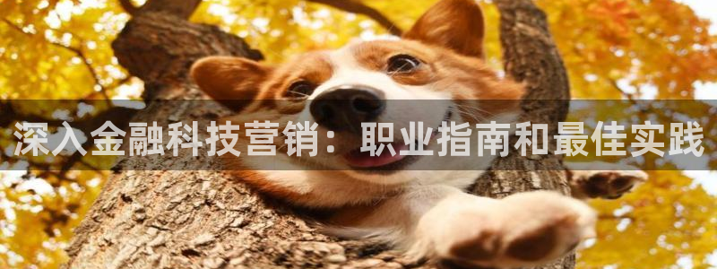 金年会pg电子官网