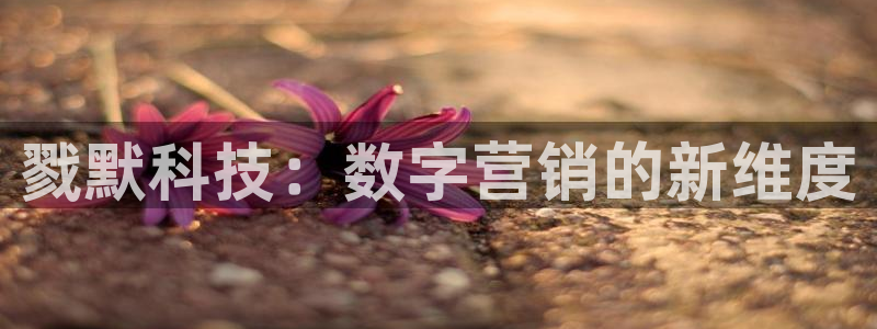 金年会体育诚信