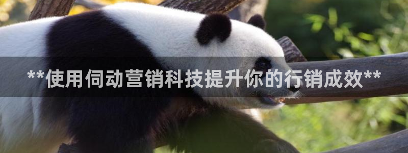 金年会体育平台官网app