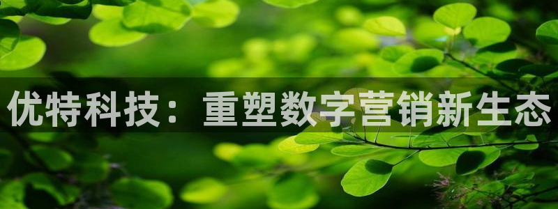 金年会网站下载