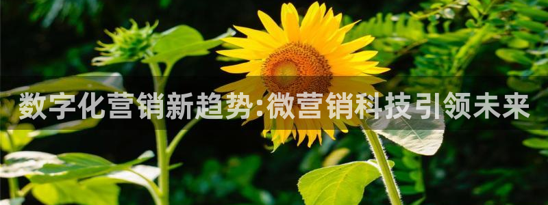 金年会网站拒绝出款怎么办理
