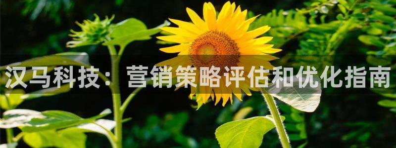 金年会体育官网登录入口