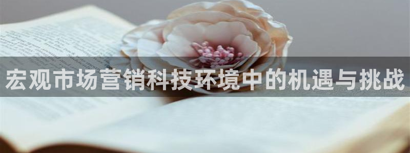 金年会app登录官网