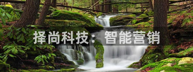 金年会体育app属于正规平台吗