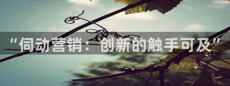 金年会体育官网入口