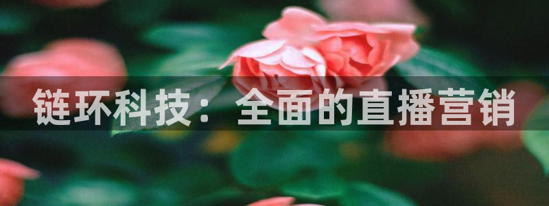 金年会电子游戏app官方入口网站