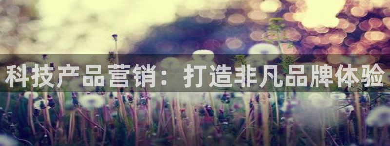 金年会信誉至上金字招牌