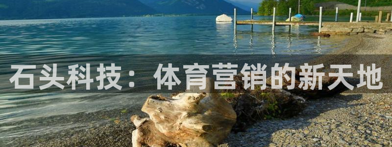 金年会官方入口2023