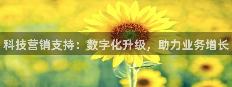 金年会官方在线入口网址查询