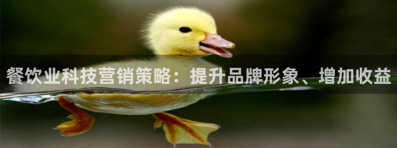 金年会网登录平台入口