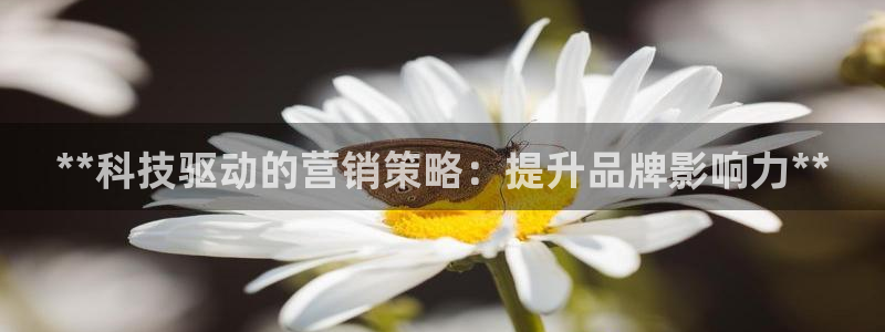 金年会jinnianhui