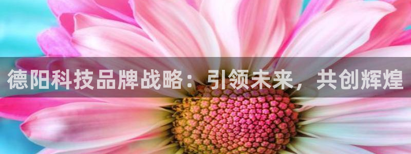 jinnianhui金年会195
