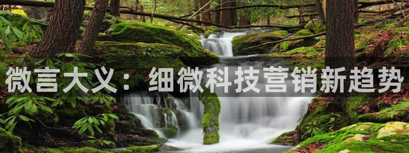 金年会网站拒绝出款怎么解决?