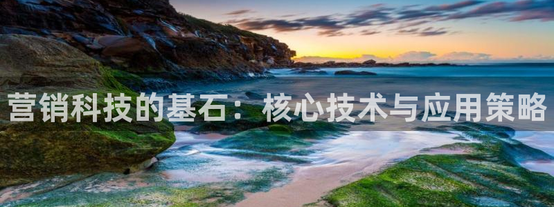 金年会pg麻将胡了几张牌