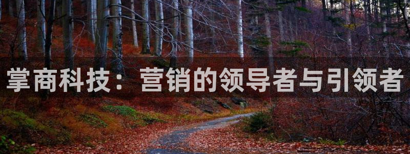 金年会官方入口首页网站下载