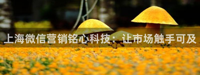 金年会qq群