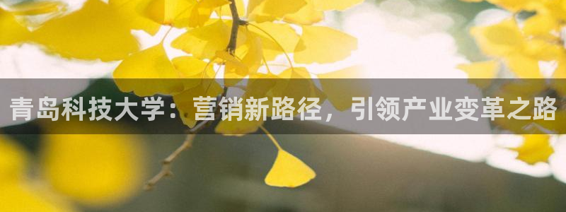 金年会金字招牌网址