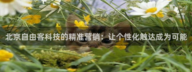 金年会金字招牌信誉至上
