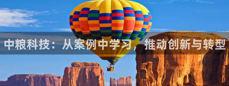 金年会赌博案