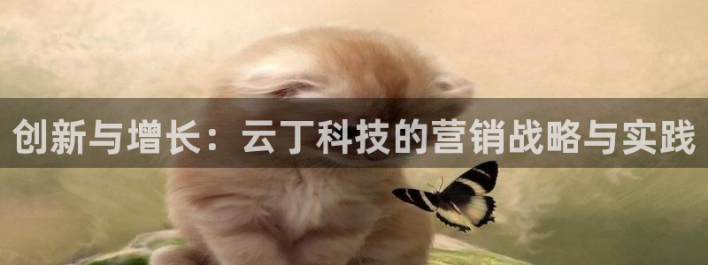 金年会体育网址是多少