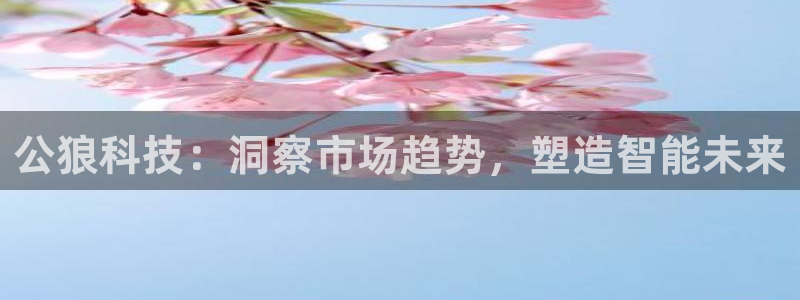 金年会体育app入口