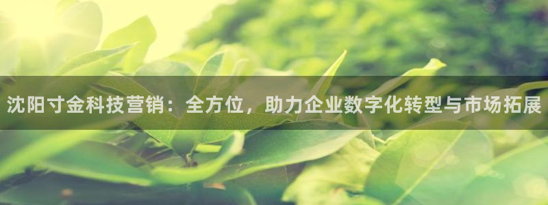 金年会体育app下载官网苹果手机