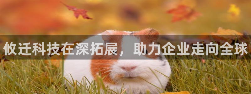 金年会体育APP官方网站