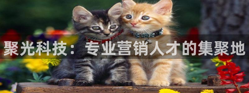 金年会APP官方网站