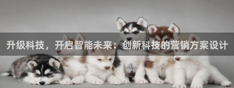 金年会下载官方