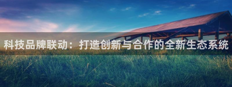 金年会体育平台是真的吗