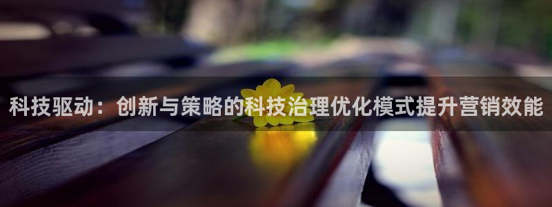 金年会体育app