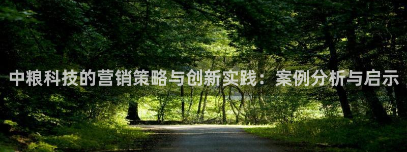 金年会体育平台登录