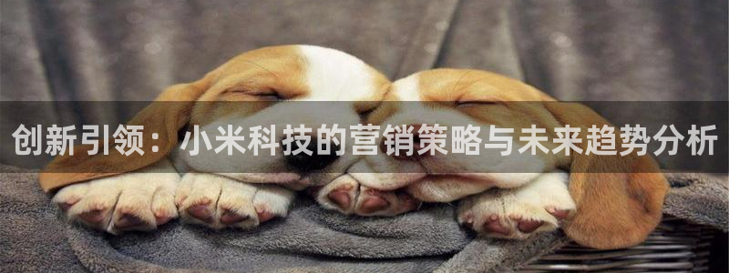 金年会app官网下载